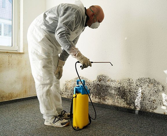 Residential mold remediation Youngstown Ohio