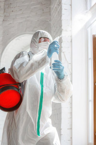 mold removal procedure Youngstown Ohio