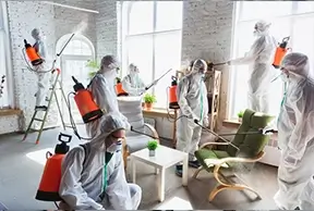 mold remediation commercial
